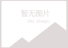 岱山县无果金属有限公司